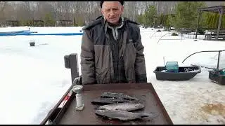 Ловля форели на безлимите.