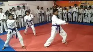 VID 20191104 WA0005