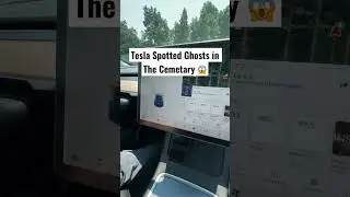 Tesla Spotted Ghosts In The Cemetery 