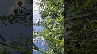 27 июня 2024 г.