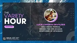 Lucie Laporte-Devylder | Wild Drone: thermal drones for non-invasive monitoring of cetaceans