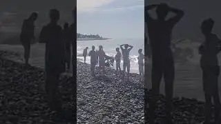 Ещё одна причина почему мужчины живут меньше женщин… #сочи #мина