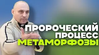 Дмитрий Савченко. ПРОРОЧЕСКИЙ ПРОЦЕСС МЕТАМОРФОЗЫ.