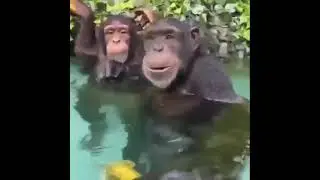 this could be us