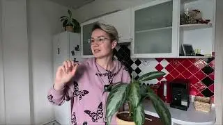 ВЛОГ/УТРО.ДЕНЬ.ВЕЧЕР.