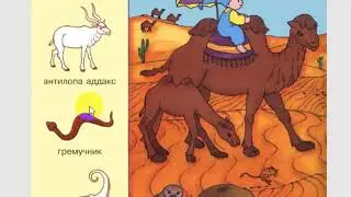 Кто где живет. Онлайн детский сад. Урок.