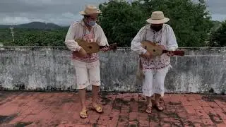 Mejorana Panamá |Baile Ocueño| Mejorana por 25 | Ocú