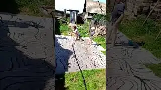 13 февраля 2024 г.