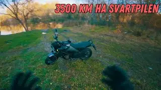 Husqvarna Svartpilen 401 After 2 Months and 3,500 km