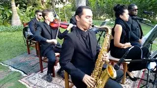 Tema Rei Leão -  Músicas para Casamento Brasília -