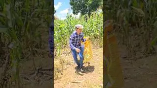 NO ROBAR 🚫 #shorts #viralvideo