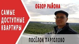 Где в Питере жильё дешевле? | Обзор посёлка Парголово