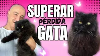 MI GATA HELENA: INCREÍBLE HISTORIA, SU MUERTE Y CÓMO SUPERARLO