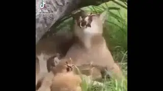 Sexoooooo