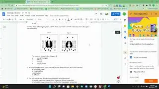Form Builder Plus Import - Google Doc to Form
