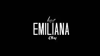 CKay  Emiliana lyrics