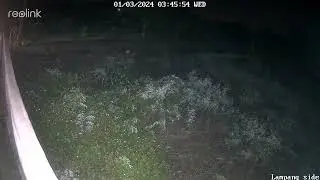 Reolink Argus PT Ultra sample - Night time