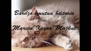 Bardzo smutna historia ~ Marcin