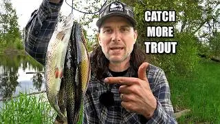 How to Catch MORE Trout in Lakes & Ponds | Full Rig & Bait Guide