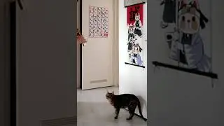 playing #tinwhistle for my cat