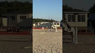 #horse