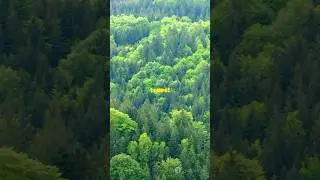 The earth is AMAZING! #earth #facts #factshorts #factvideo #motherearth #music #remix