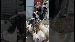 8 марта 2024 г.