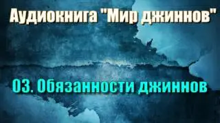 03. Обязанности джиннов (аудиокнига 