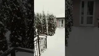 Снег