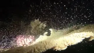Coral Spawning 2021