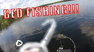 Southern Maine Bass Spawn Fishing!!!