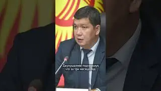 The mayor of Bishkek stood up for Tsarikayev