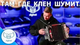 Павел Фомин — Там Где Клен Шумит | Гармонь Тульская Куликово Поле