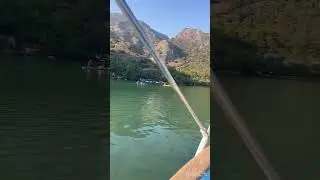 Bırakmayla sargoz avı