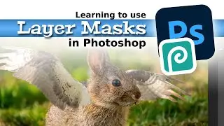Learning Layer Masks with Photoshop or PhotoPea (Winged Bunny)