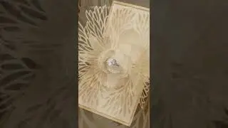 Golden Ring Box #shorts