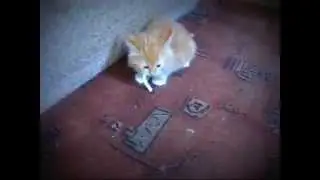 Ну ни как не хочет бросить курить..
