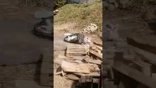 В ожидании Запчастей.