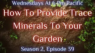 How To Provide Trace Minerals To Your Garden