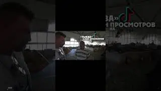 Я тыква по национальности