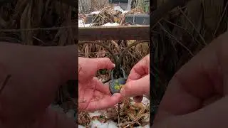 УНИКАЛЬНЫЙ РИТУАЛ НА УНИКАЛЬНОЙ МОГИЛЕ