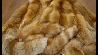 Salting of fox skin, the initial stage of dressing fox skin.