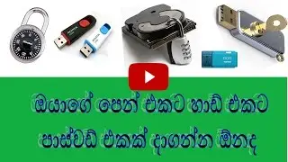 සිංහලෙන් - How To Put Password On Pen Drive