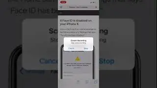 iphone X Face ID Fails - Face ID Disabled - TrueDepth camera not functioning.
