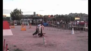 INICIACION DEL CACHORRO CRAC 4 MESES