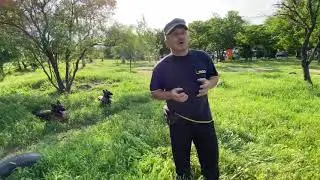 Why does a dog pee when it sees its owner? | Dog training