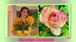 ЙөрәкТау!  Ильмира Нагимова  * 2023 08 24 *  Сары роза