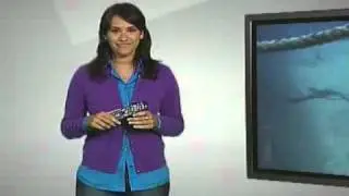 How to PLAY a RECORDED TV Show from DVR - Verizon FiOS TV