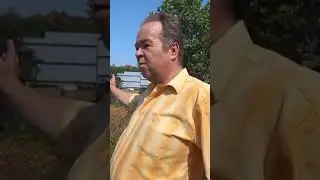 Фекальные стоки в море в Фонтанке часть 2