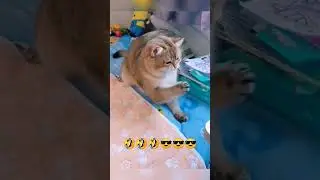 ахах